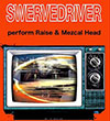 cover: SWERVEDRIVER