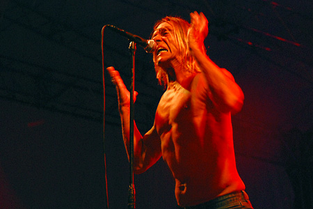 [ Iggy Pop & The Stooges ]