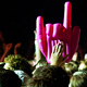cover: FM4 Frequency festival, Green park St. P�lten (A), 19 > 21/08/2010