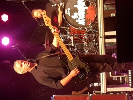 [ the stranglers ]