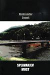 cover: Splavarjev most