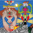 cover: Hey Venus!