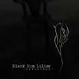 cover: Black Sun Lilies -  revisited
