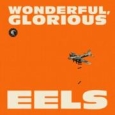 cover: Wonderful, Glorious