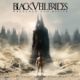 cover: Wretched And Divine - The Story Of The Wild Ones