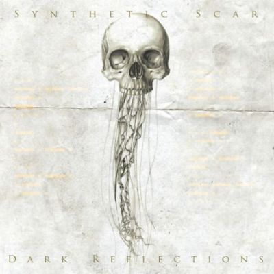 [ Synthetic Scar -Dark Reflections ]