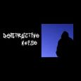 cover: Destructive Noise