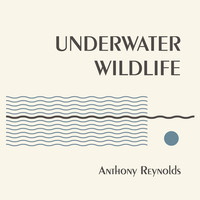 cover: Underwater Wildlife