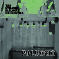 cover: The Strange Dialogue Orchestra: Pallucio