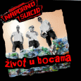 cover: ivot u bocama