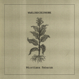 cover: Nicotiana Tabacum