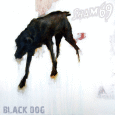 cover: Black Dog