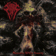 cover: Salvation Within Insanity
