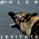 cover: Levitate