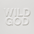 cover: Wild God