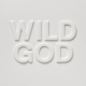 cover: Wild God