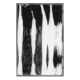 cover: Duck Textures / Duck Dreams
