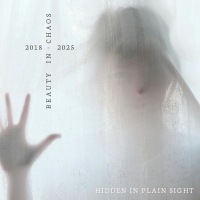 cover: Hidden in Plain Sight 2018-2025