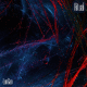 cover: LunGao - 