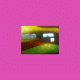 cover: EDO UELOVI - 