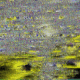 cover: FAEX - 